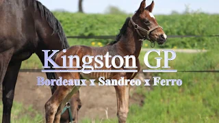 Kingston GP