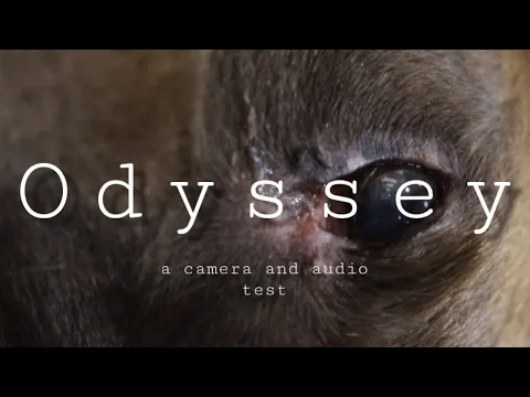 “Odyssey” by Jackson McCoy - a camera and audio test