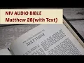 Matthew 28 NIV BIBLE with text