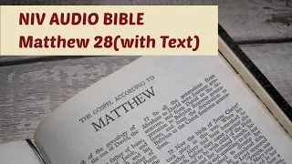 Matthew 28 NIV BIBLE with text