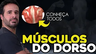 CONHEÇA TODOS OS MÚSCULOS DO DORSO