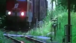 الكلب اوفى من بني ادم 