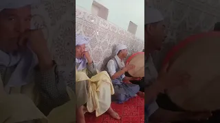 قمري الحمام تعلى حضرة الحرازلية حاسي الدلاعة ولاية الأغواط الجزائر 