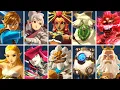 Hyrule Warriors Age of Calamity - All Characters