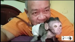 He is To Playfull
