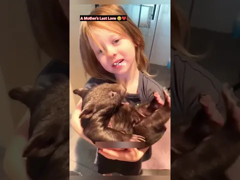 माँ चली gayi? 😭 लेकिन जाते-जाते इंसानियत ko नई सीख de गई!! 🥺 Miracle of Love ✨