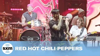 Download Dani California  — Red Hot Chili Peppers | LIVE Performance | SiriusX MP3