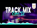 Lagu DJ Track Mix - CYBER DJ TEAM (Official Audio Visualizer)