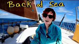 We Didn’t Expect THIS | Sailing Wisdom [S3 Ep41]