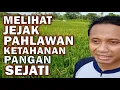 Download Lagu Inilah Pahlawan Ketahanan Pangan Yang Sesungguhnya