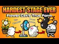 How to Beat the HARDEST Stage Ever and Unlock Bombercat
