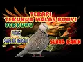 Download Lagu Pancingan Derkuku Gacor. diiring suara air mengalir