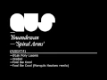 Youandewan - Fool Be Cool