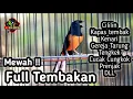 Download Lagu MURAI BATU GACOR FULL ISIAN TEMBAKAN CILILIN GEREJA KENARI KAPAS TEMBAK CUNGKOK PRENJAK