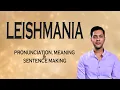 Download Lagu Leishmania - Betekenis_\u0026_Uitspraak_Woord_Wereld_Audio_Video_Woordenboek