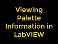 How to View Palette Information Programmatically in LabVIEW