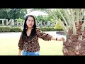 Download Lagu SESOLAN - Cipt.Bahri - Voc.Yuliana ||Lagu Lampung Top