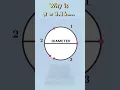 Download Lagu Why is π = 3.14…??? #pivalue #circle #circles #geometry  #maths  #mathematics
