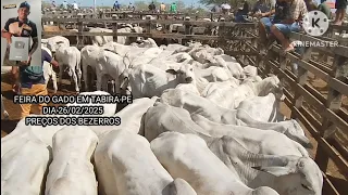 Preços dos Nelores na Feira de Gado de Tabira-PE dia 26/02/2025