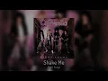 Cinderella - Shake Me