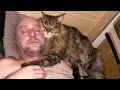Download Lagu Als je beste vriend de lieve kat is ❤️