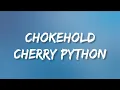 Download Lagu Ashnikko - Chokehold Cherry Python (Lyrics)