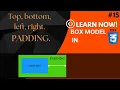 Understanding CSS Padding Step-by-Step Guide