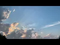 忘れられないの サカナクション フル 歌詞付き