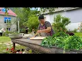 Download Lagu Farm to Table Cooking / Natural Food from Our Village Garden / Healthy Rural Lifestyle
