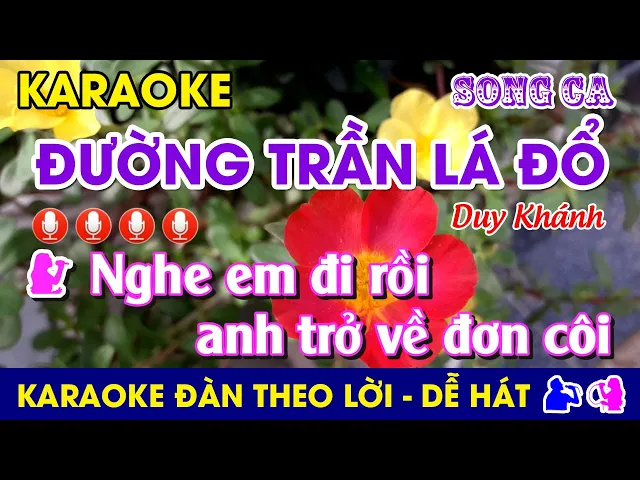 ĐƯỜNG TRẦN LÁ ĐỔ 