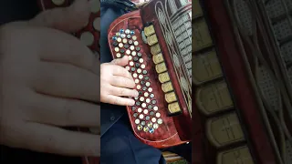 Piazzolla Tango Bandoneon At Sydney S Royal Botanic Gardens 