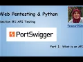 Web Pentesting Python API Testing Part 1 - What is an API