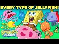 Download Lagu EVERY Type of Jellyfish in Bikini Bottom! ⚡️ | SpongeBob