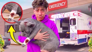 WE LOST GUCCI... 😭💔 FERRAN CAN'T STOP CRYING! (The Royalty Family)
