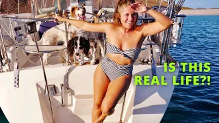 A WILDLIFE SAFARI Right in Our Backyard [Making Our Way Ep 82]