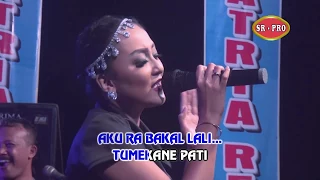 Download Elsa Safira - Kangen Kuto | Dangdut (Official Music Video) MP3