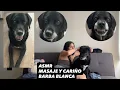 ASMR Masaje y CARINO a mi Perro Barba Blanca SOFIWI