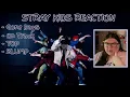 Download Lagu STRAY KIDS Reaction: Gone Days MV, On Track MV, TOP,  SLUMP Lyrics