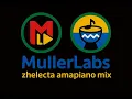 Download Lagu zhelecta - Amapiano Mix 2025 March