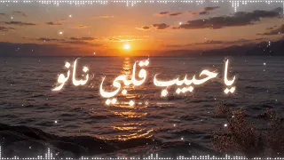 يا حبيب قلبي نانو                                تووليت  ساينت ليفانت   نانو                         دندنها