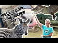 Missouri Exotic Animal Auction Part One