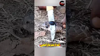 راز سنگ مار چیه باورتون نمیشه 