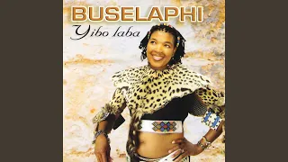 yibo laba