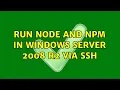 Run node and npm in Windows Server 2008 R2 via SSH