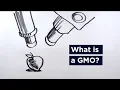 Download Lagu Wat zijn ggo's? Een handleiding voor FDA- en USDA-etikettering | UConn