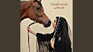 دلبر من از باغ برآمد 