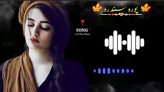 pashto viral tiktok song new pashto song 2026 trending