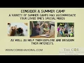 COR Behavioral Tips Tricks to Help Kids Transition to Summer