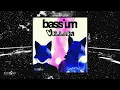 Bassium - Villain Tech Mix