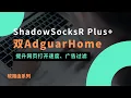 Download Lagu ShadowSocksR Plus+使用双AdGuardHome实现完美DNS分流功能 阻止DNS劫持 泄露等问题 优化网页打开速度视频缓冲时间 完美过滤国内外视频网站广告#一瓶奶油